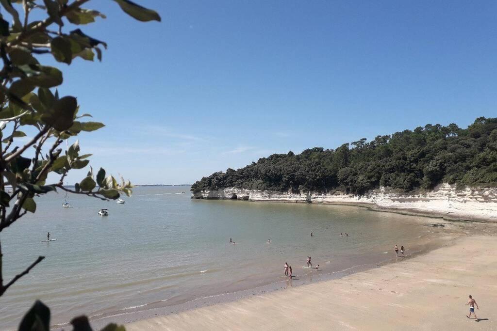 Maison Au Coeur De Meschers - Proche Des Plages Eksteriør bilde