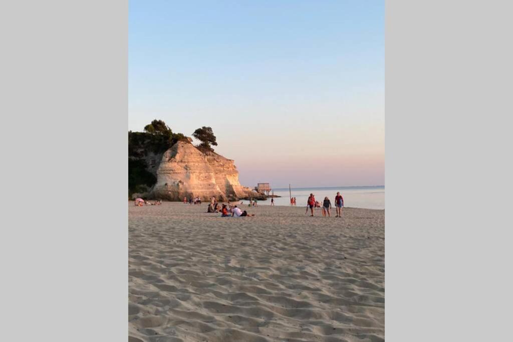 Maison Au Coeur De Meschers - Proche Des Plages Eksteriør bilde